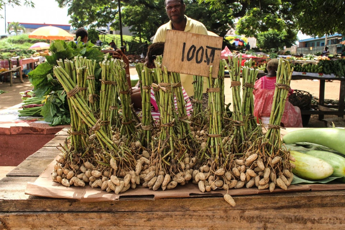Markt Vanuatu Foto Wolfgang Reindl Markt Vanuatu Foto Wolfgang Reindl