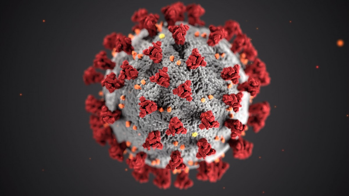 coronavirus 2 coronavirus 2