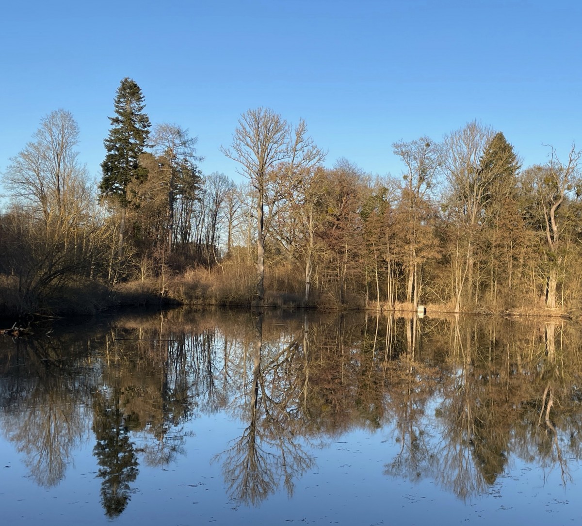 Foto von Nikolaus Flämig  