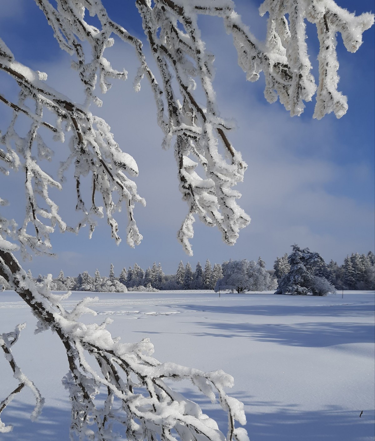 Foto Hochrhön A.Habke  